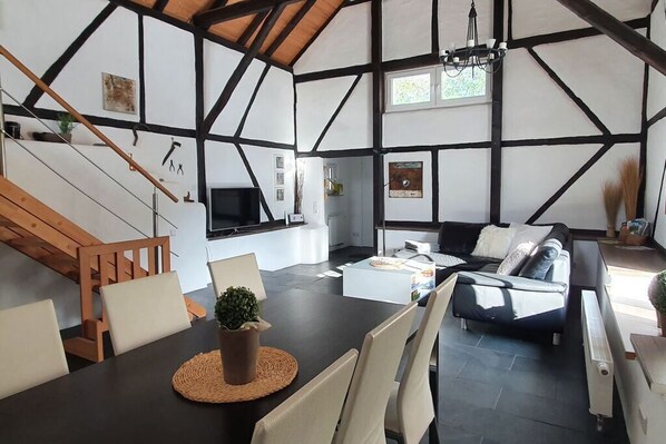 Smart TV, chimenea y libros 