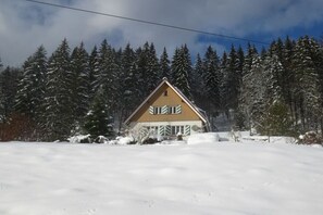Exterior - Holiday home Tauchert (Baiersbronn-Schönmünzach)