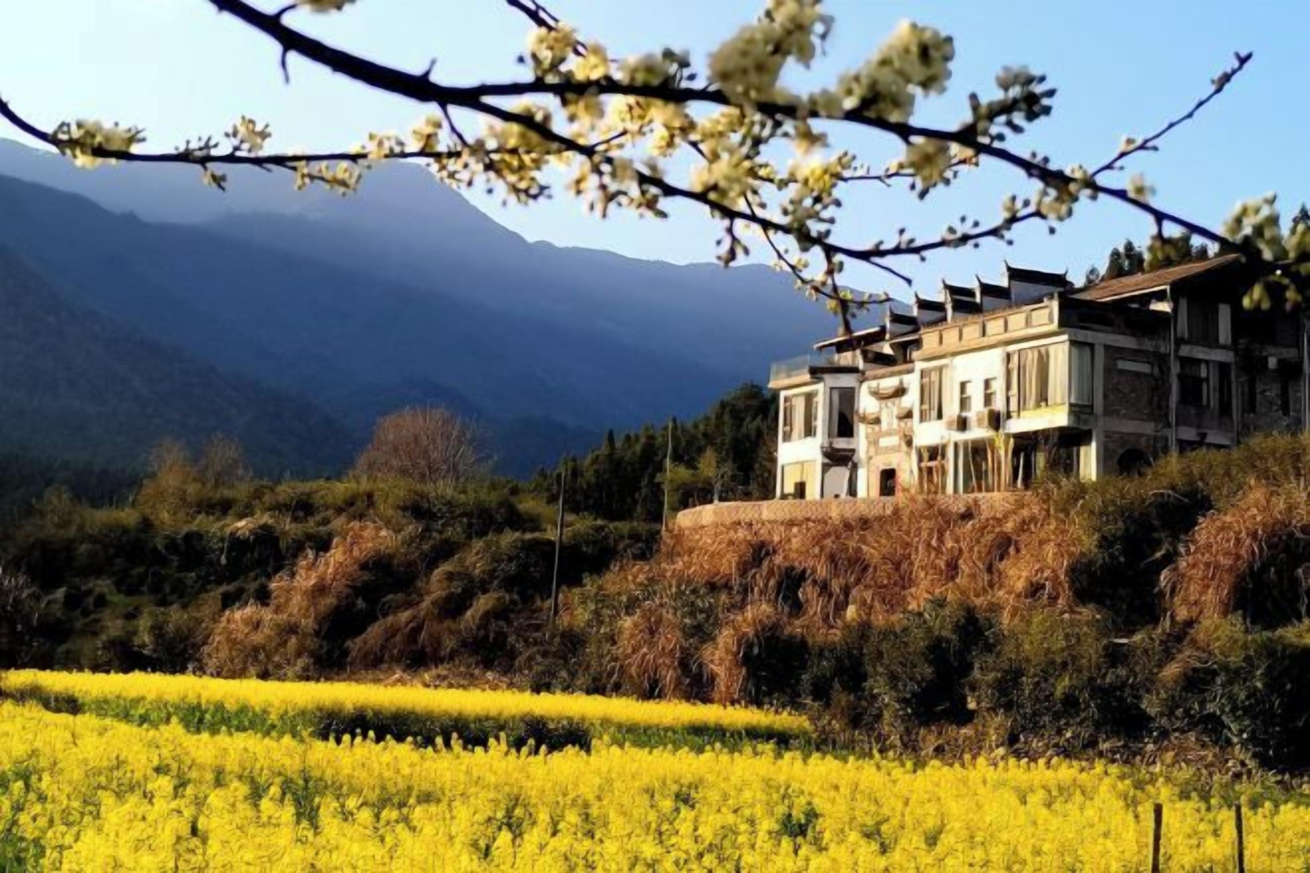 A multi-story building with a traditional architectural style, situated on a hillside with a vineyard in the foreground.