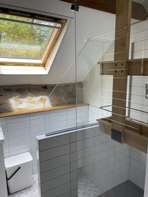 Shower, hair dryer, bidet, towels