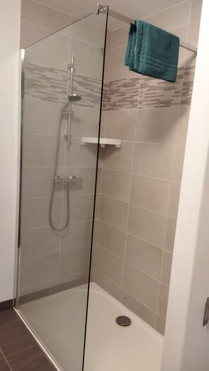 Shower, towels, toilet paper