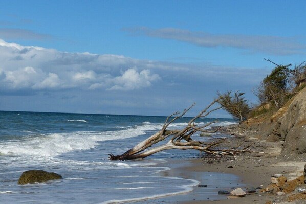 Beach nearby - Holiday apartment "Baltic Sea Suite" (Ostseebad Wustrow)