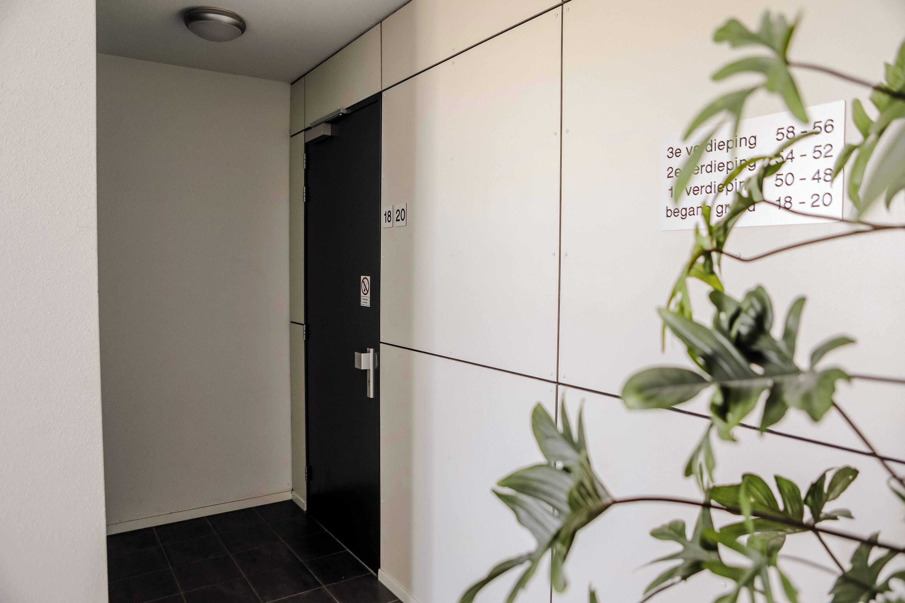 A hallway with a door marked 18-20, a no-smoking sign, and a plant in the foreground.