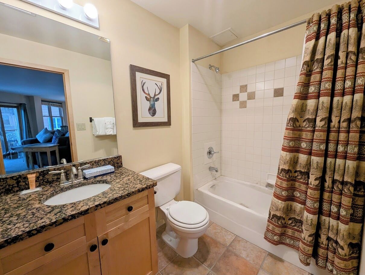Une salle de bain avec un lavabo, des toilettes et une douche.