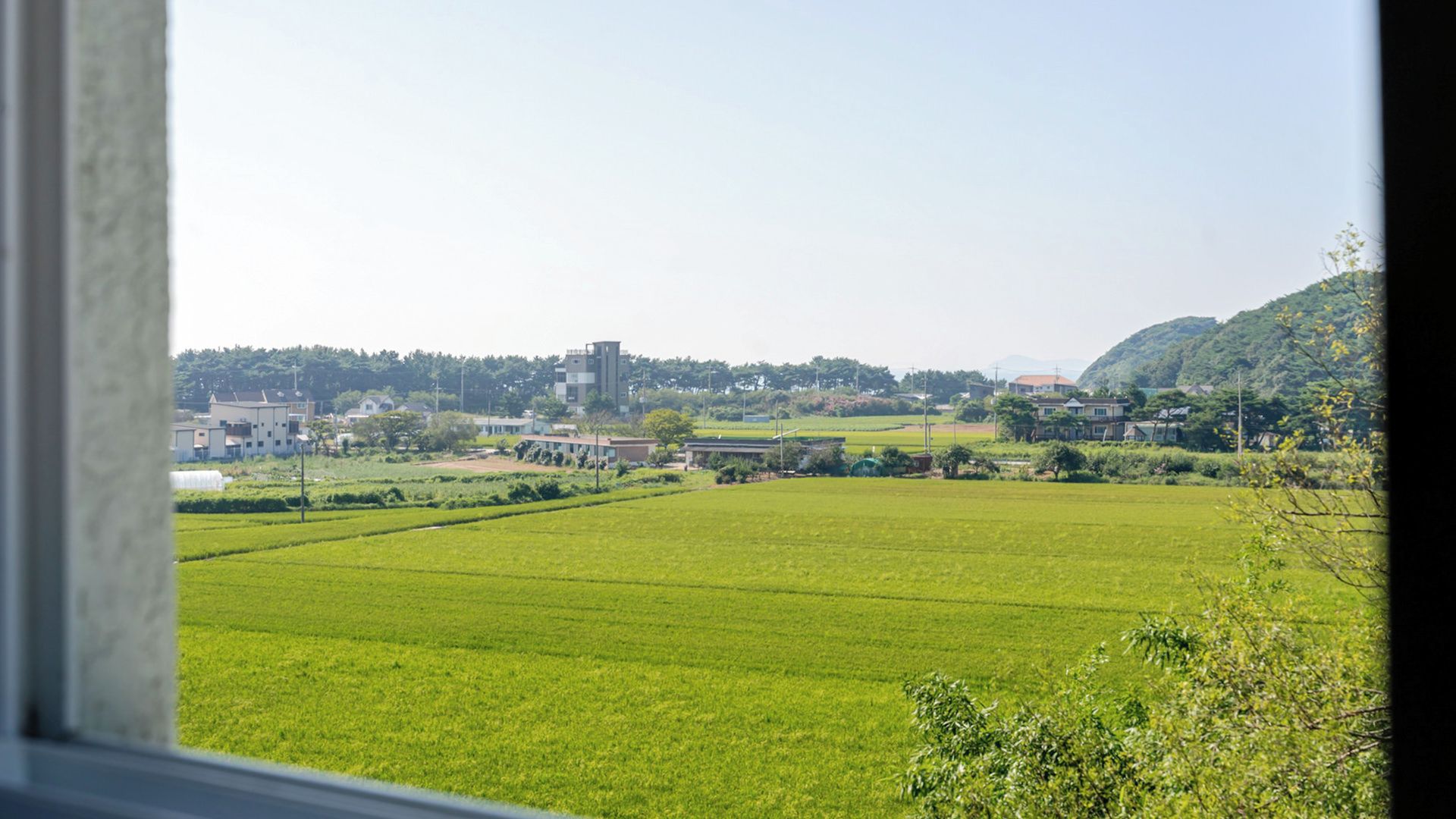 A view of a green field with buildings in the distance.