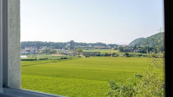 Vista de un campo verde con edificios a lo lejos.