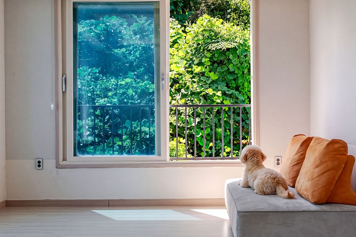 Basic Room, 1 Bedroom (4-201(D /Pet OK/No Pool))