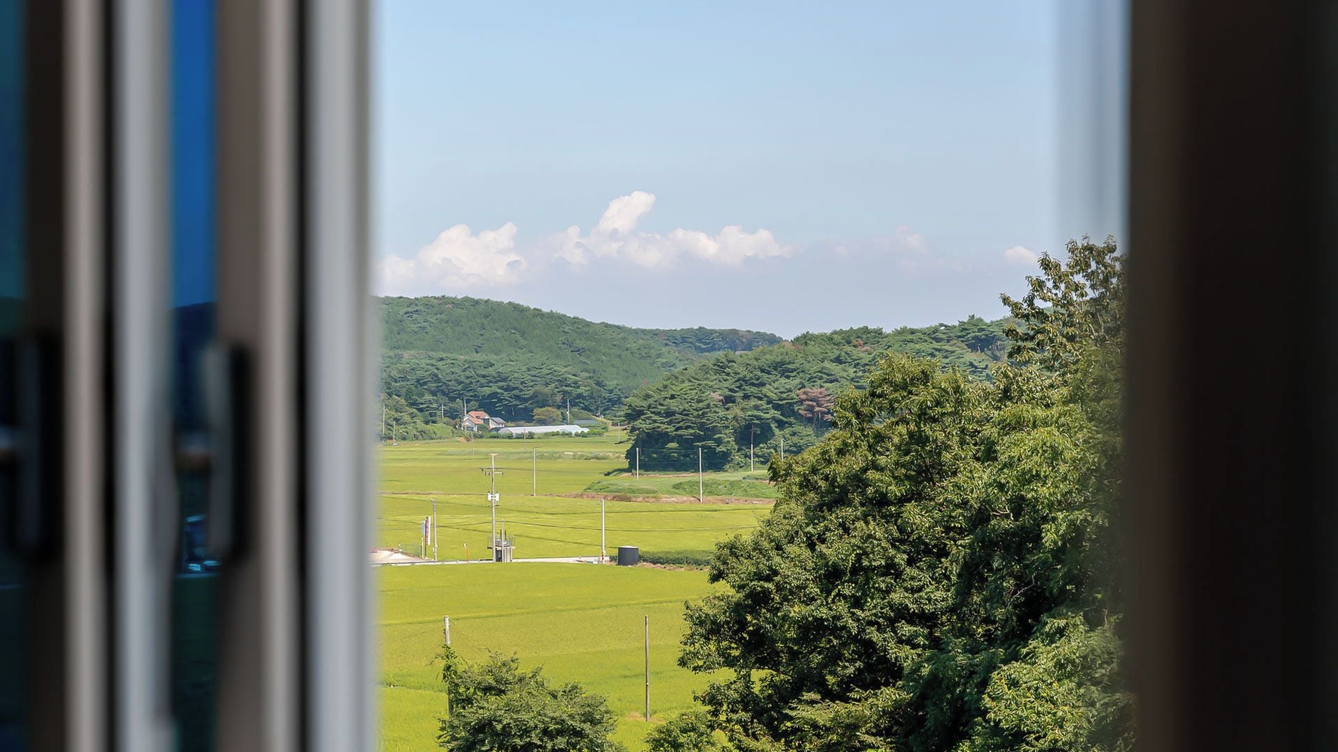 Blick auf eine grüne Landschaft mit einem Hügel, Bäumen und einem Gebäude in der Ferne.