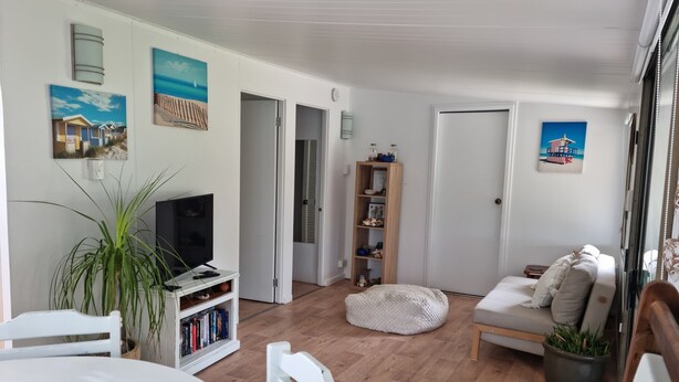 A living room with a white sofa, a TV on a white stand, a bookshelf, and a potted plant.