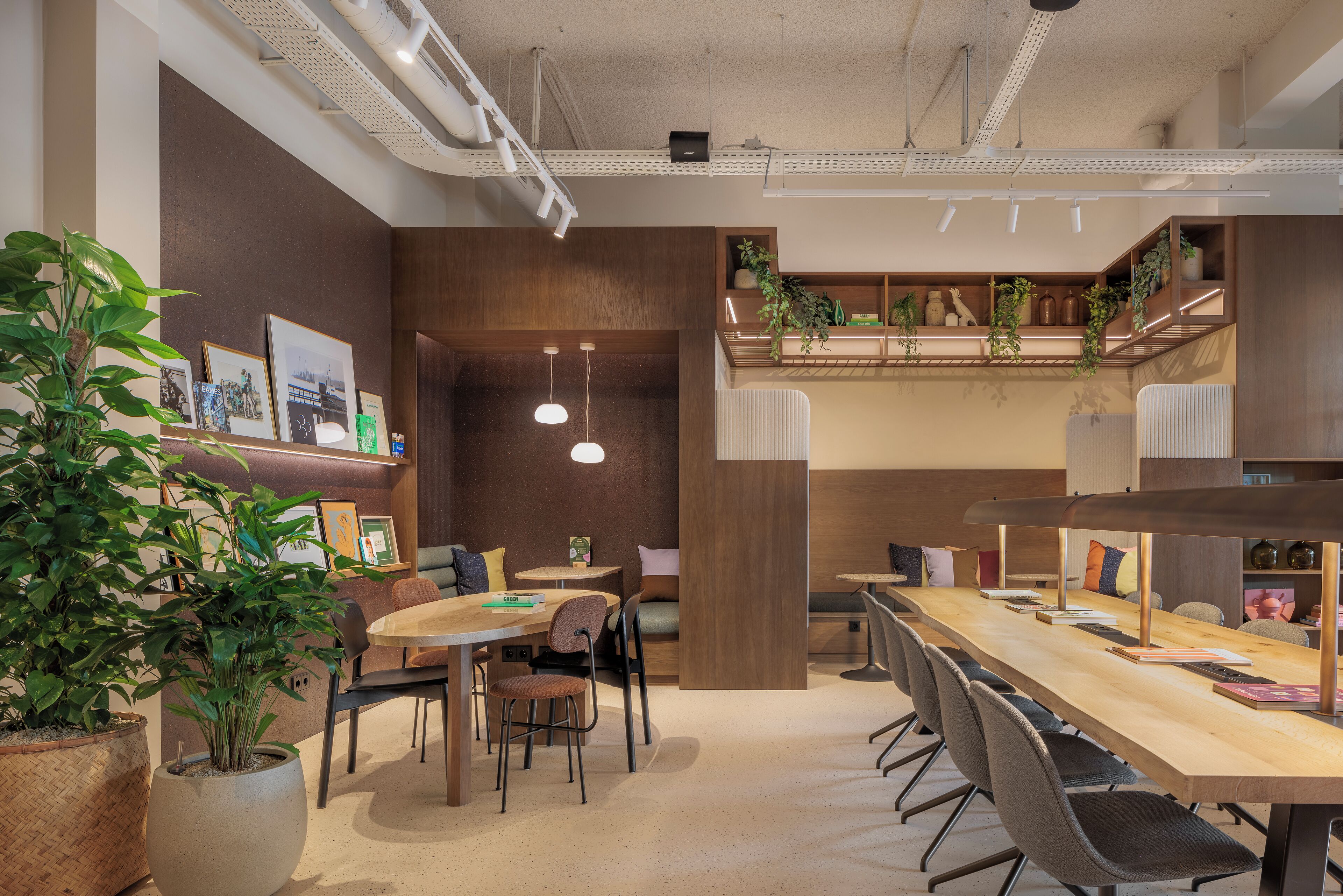 A modern conference room with a long table, chairs, and potted plants.