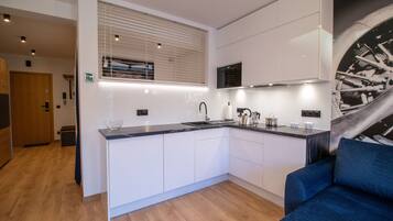 Design Apartment | Private kitchen | Fridge, microwave, oven, dishwasher