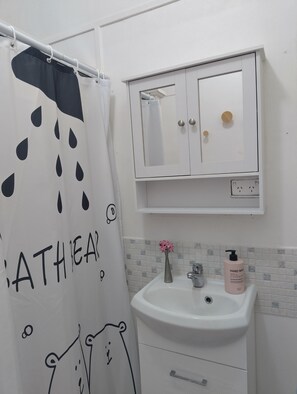 Chuveiro, secador de cabelo, toalhas de banho, sabonete