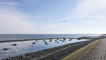 A coastal area with a paved walkway, rocky shoreline, and a distant ship.