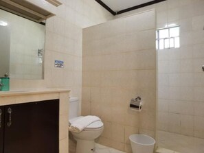 A bathroom with a toilet, a sink, a mirror, and a shower area. - Cabana Republic (Puerto Princesa)