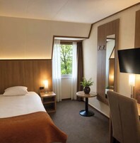 A hotel room with a bed, a desk, a chair, a small table with a plant, a TV, and a window with curtains.