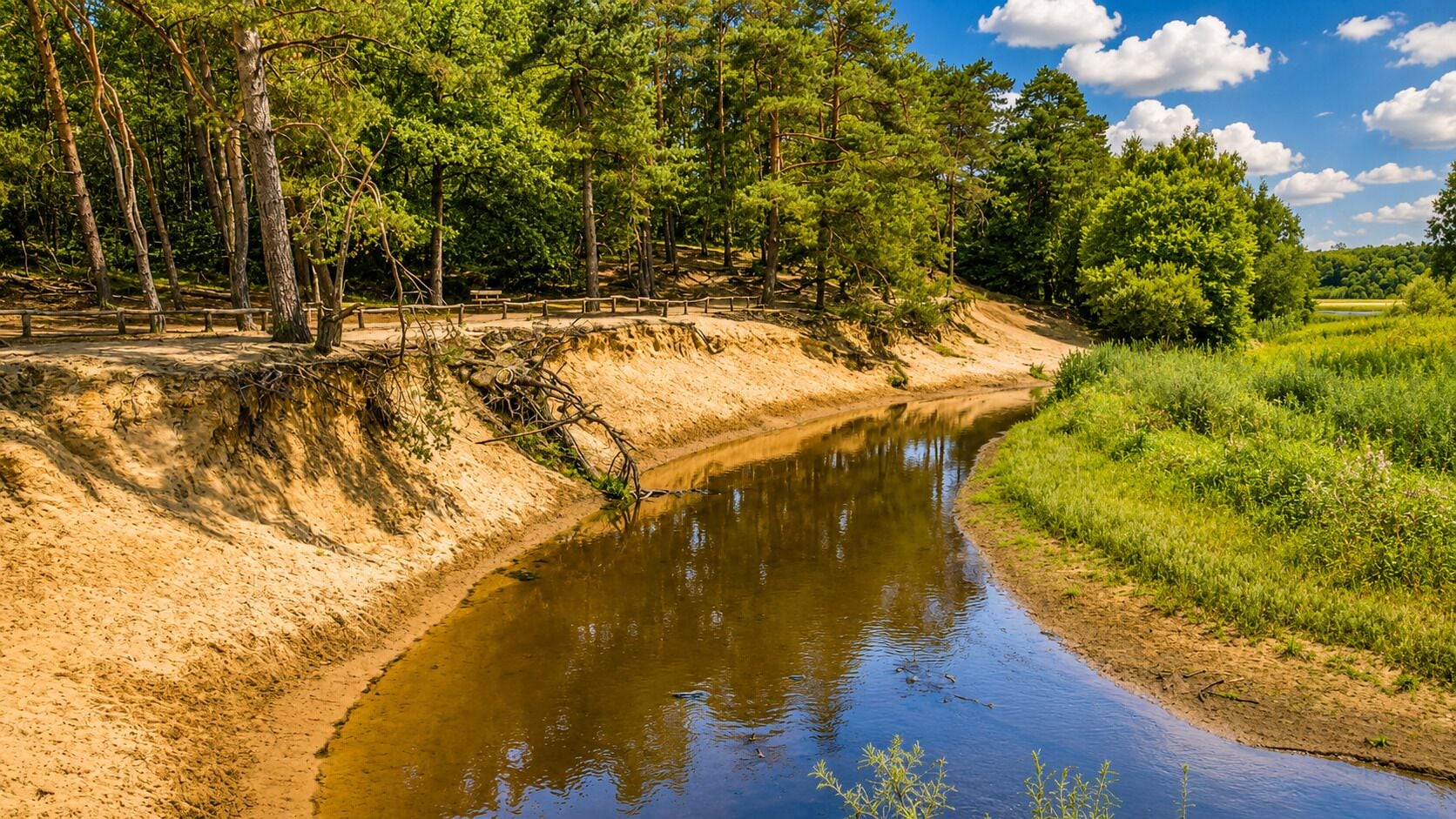 Een rivier met een zandige oever en bomen aan de overkant.