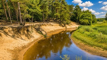 Een rivier met een zandige oever en bomen aan de overkant.