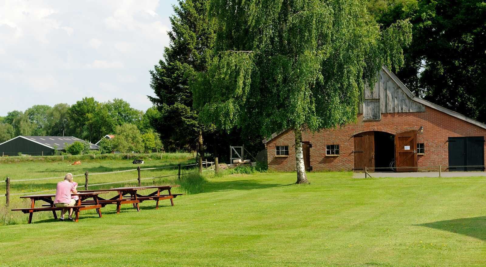 BBQ/picnic area