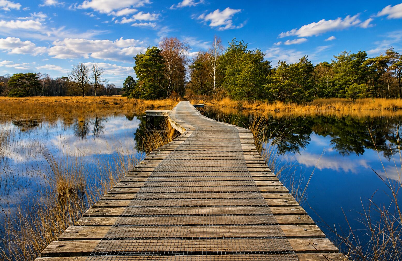 A wooden pier extending into a calm body of water, surrounded by grassy areas and trees.