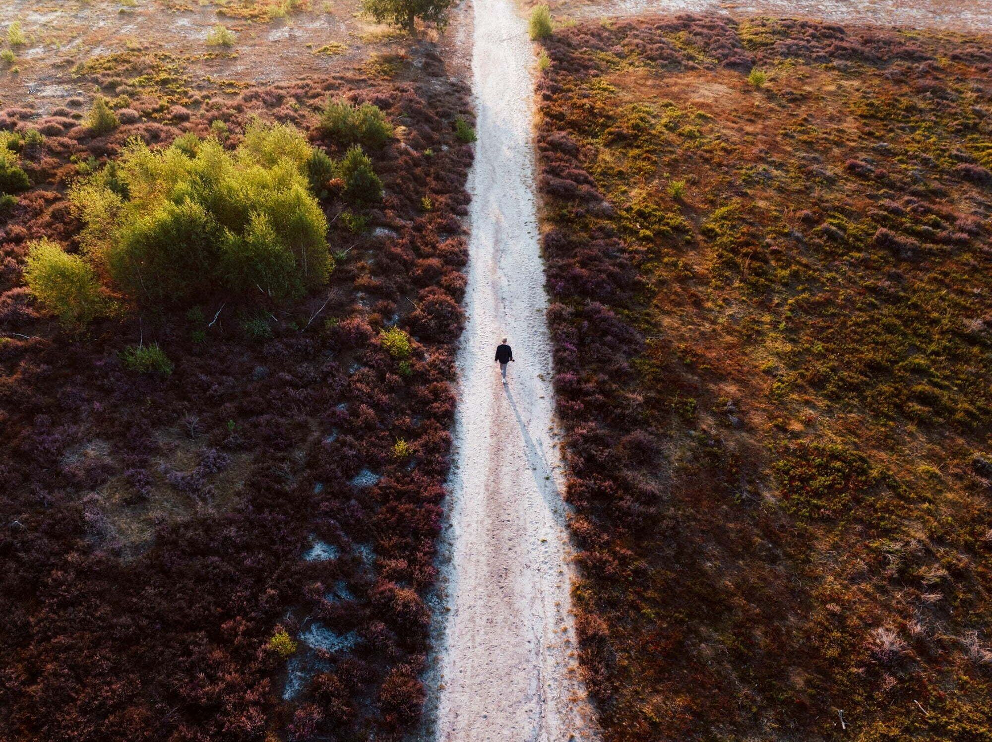 Wandern