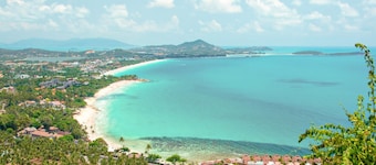 Marasca Samui