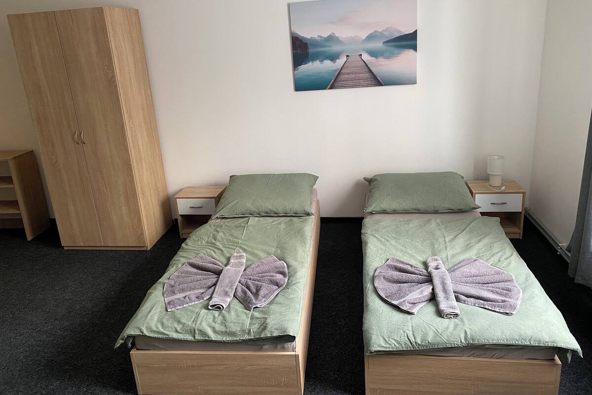 A room with two single beds, a wooden wardrobe, a nightstand with a lamp, and a painting of a lake.