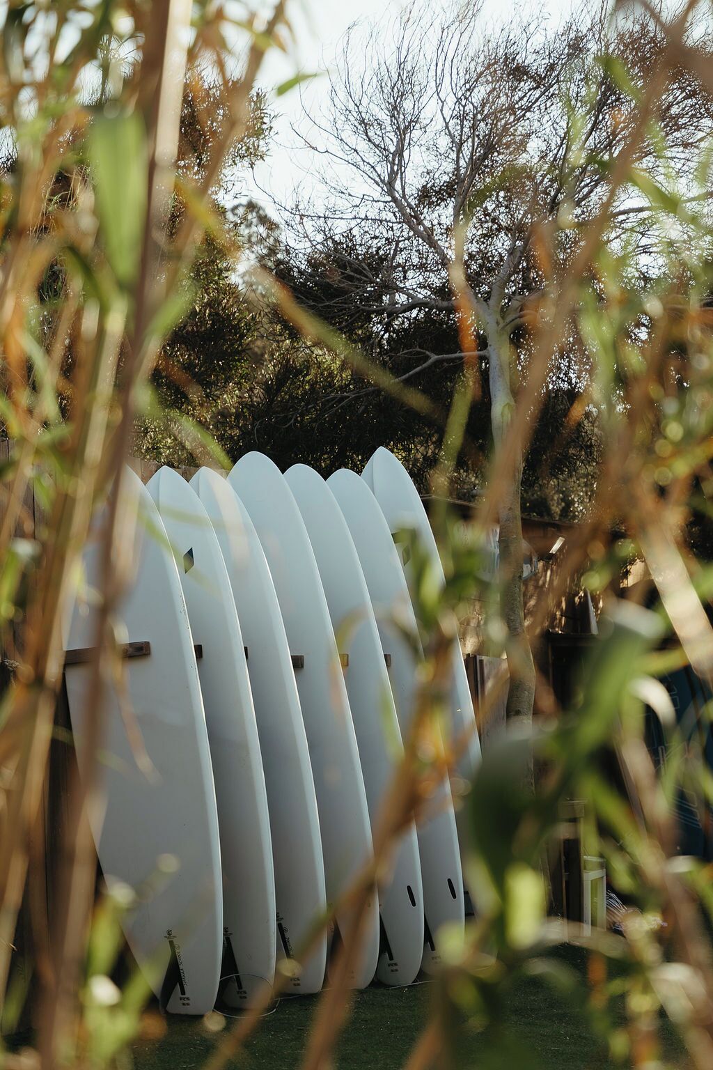 Een rij witte surfplanken op een rij, buiten, gedeeltelijk verborgen door begroeiing.