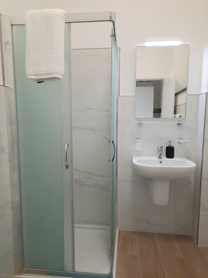 Shower, hair dryer, bidet, towels