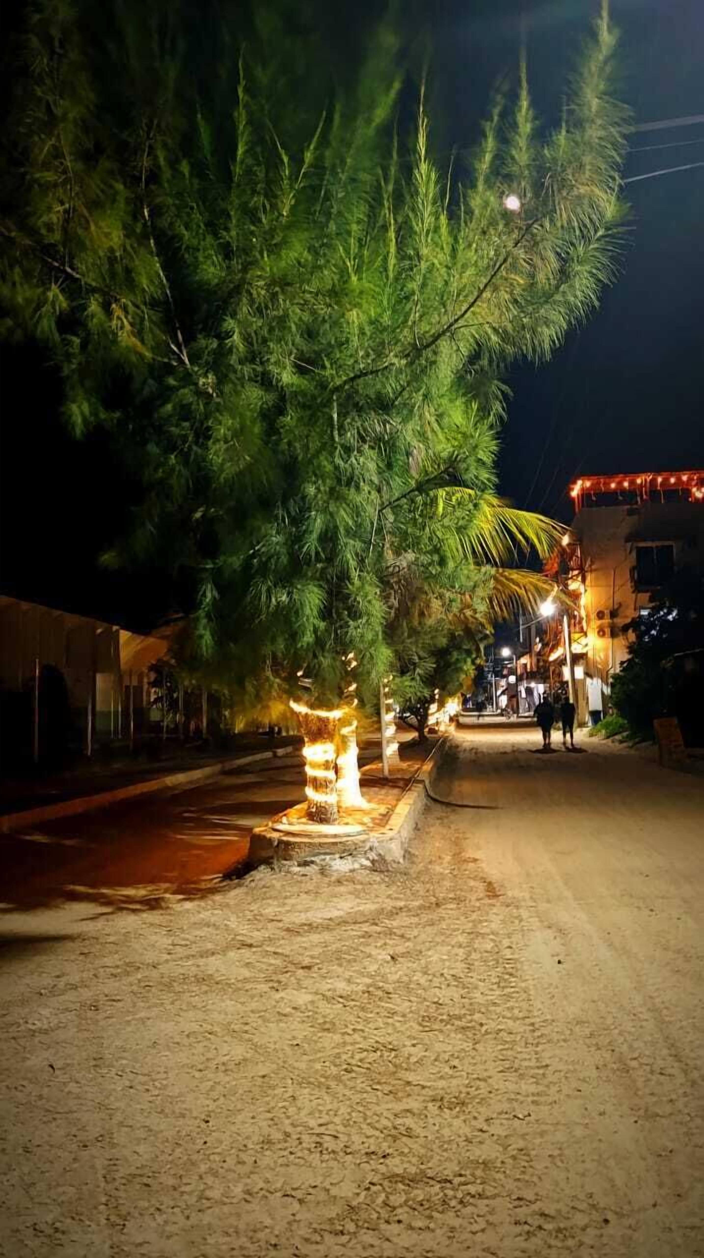 Scena notturna di una strada con un albero illuminato da luci, terreno sabbioso e edifici sullo sfondo.