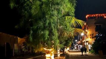 Scena notturna di una strada con un albero illuminato da luci, terreno sabbioso e edifici sullo sfondo.