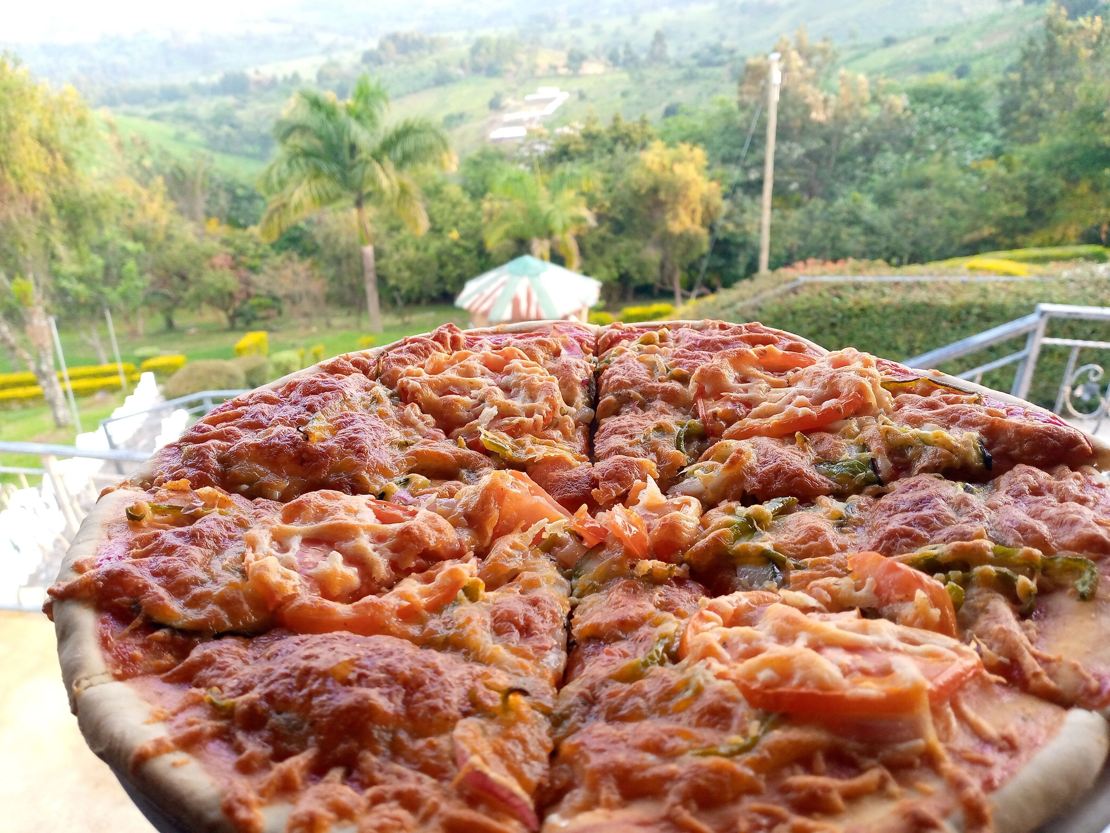 A large pizza with various toppings, placed on a table with a scenic view of a lush green landscape in the background.