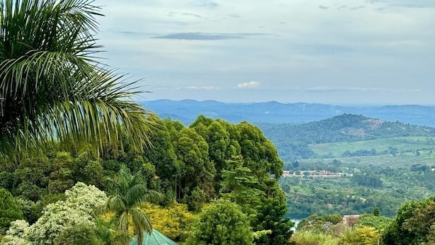 A cluster of traditional-style buildings with green roofs, surrounded by lush greenery and a mountainous backdrop.