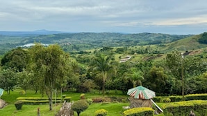 A lush green landscape with a small pavilion and a clear view of distant hills.