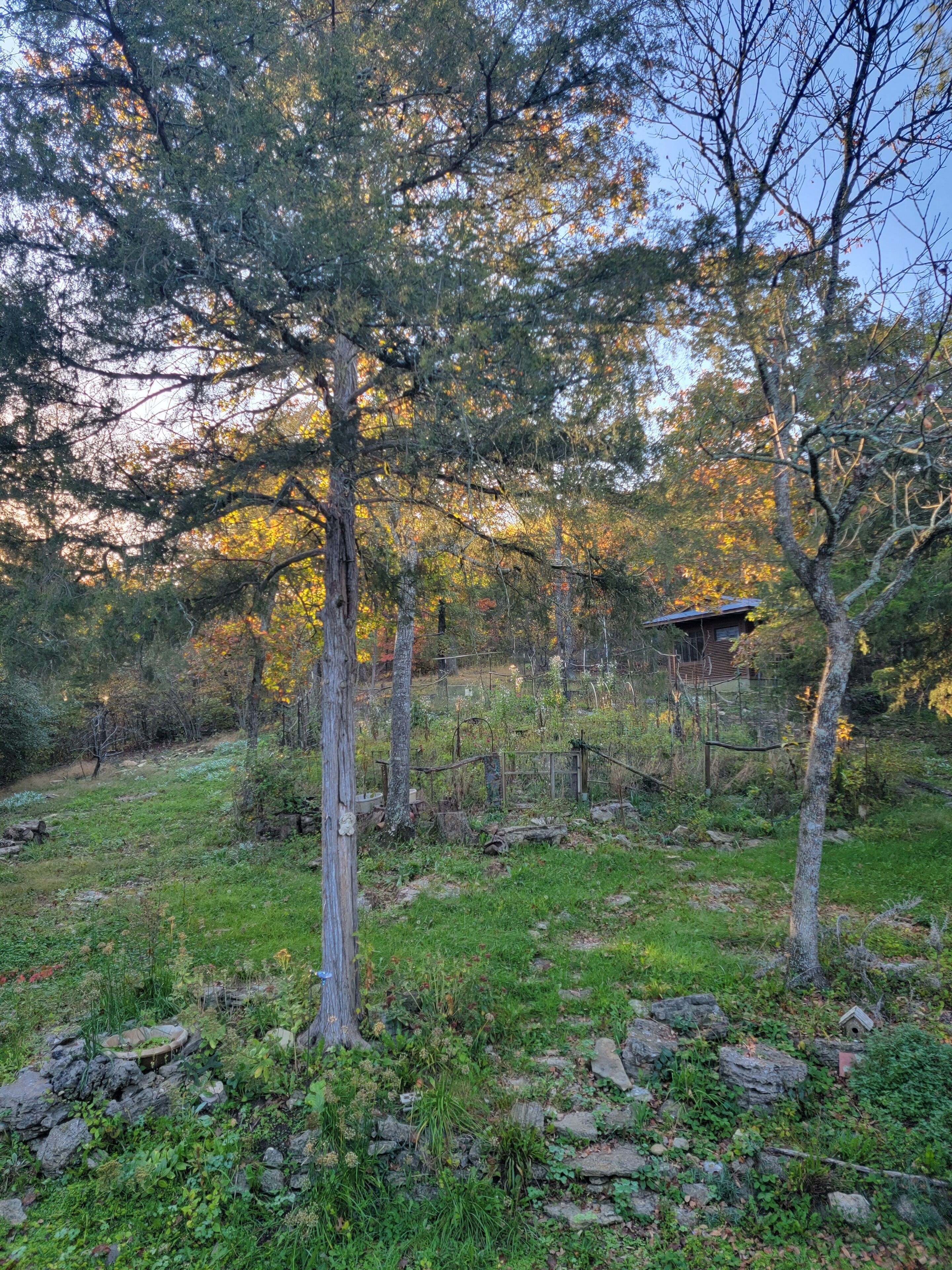 A rustic cabin surrounded by a forested area with a stone pathway leading to it.