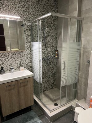 A modern bathroom with a glass-enclosed shower, a vanity with a sink, and a toilet.