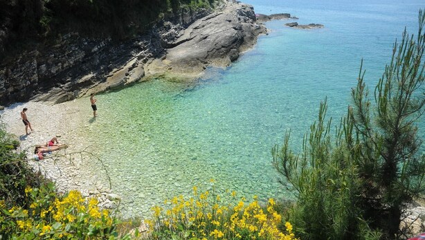 A coastal beach with clear water, rocky cliffs, and yellow flowers in the foreground. - Room in Studio - Apartment Aniko Near the sea (Medulin)