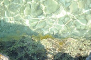 Room, 1 Bedroom, Balcony, City View | Beach