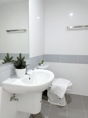 Haartrockner, Handtücher, Seife, Toilettenpapier