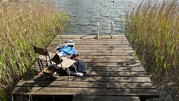Un muelle de madera se extiende hacia un lago, rodeado de altos carrizos.