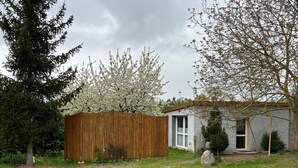 Un cobertizo de madera con una puerta blanca, una pequeña casa con fachada gris y un árbol con flores blancas en un patio trasero.
