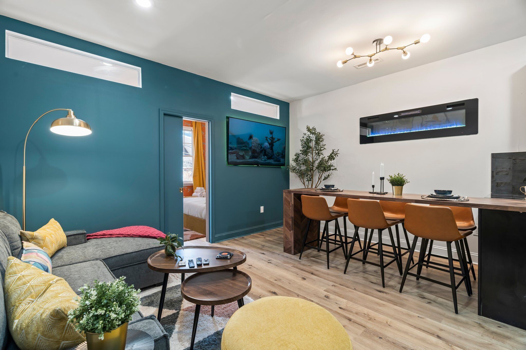 TV, fireplace, video games, books