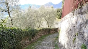 Ein schmaler Steinweg, begrenzt von einer Steinmauer und einem roten Zaun, führt zu einer gebirgigen Landschaft mit Bäumen.