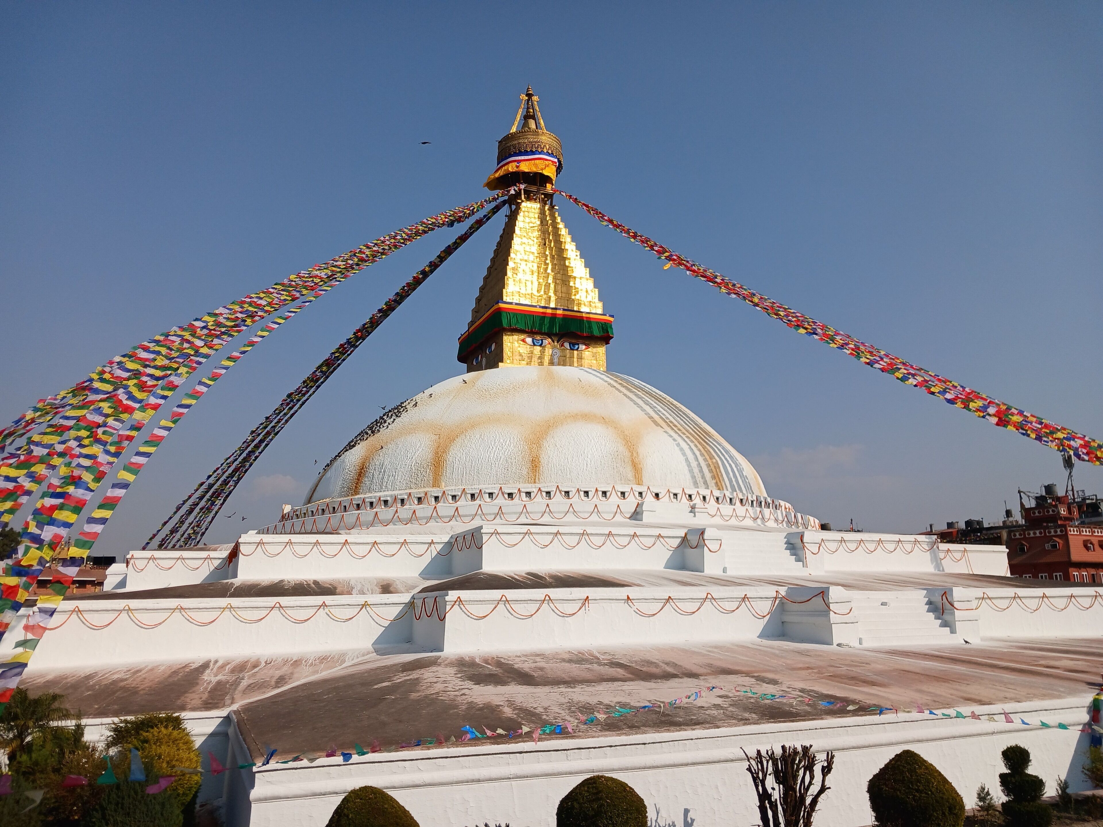 A large white building with a golden spire and colorful prayer flags.