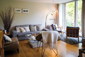 TV connectée, cheminée, livres