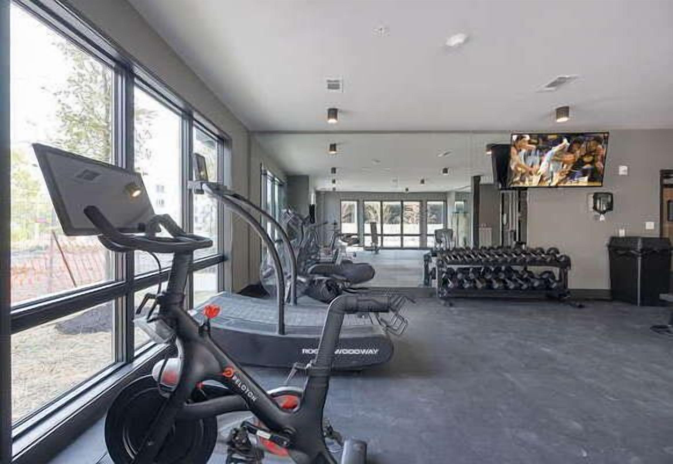 A gym with treadmills, stationary bikes, and dumbbells.