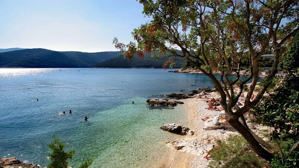 A coastal scene with clear water, rocky shore, and trees.