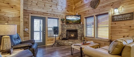 TV, fireplace, video games