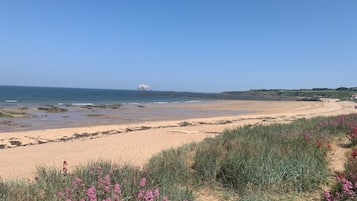 A beach with a sandy shore, some vegetation, and a clear sky.