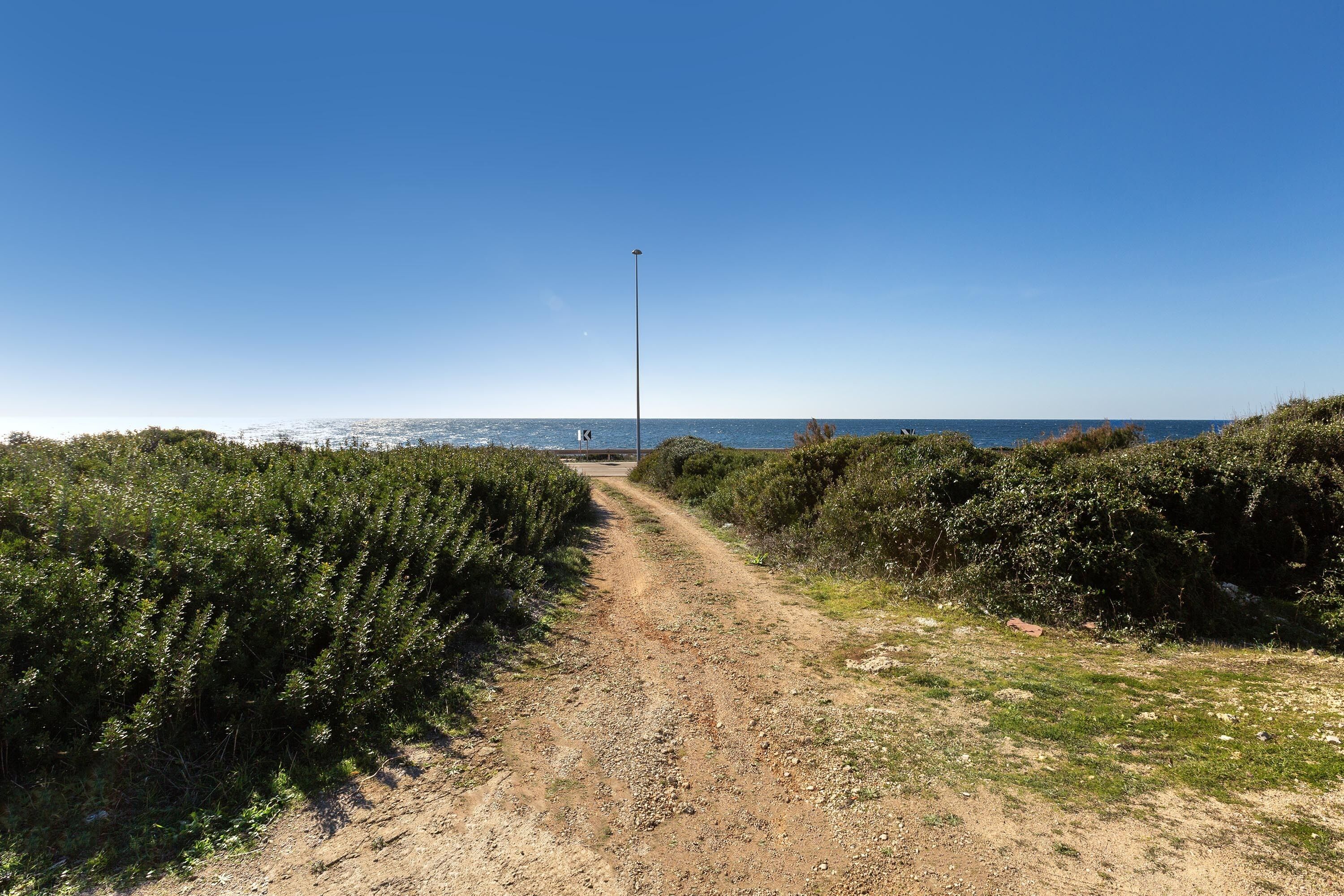Un sentiero sterrato che conduce a una spiaggia, fiancheggiato da fitta vegetazione.