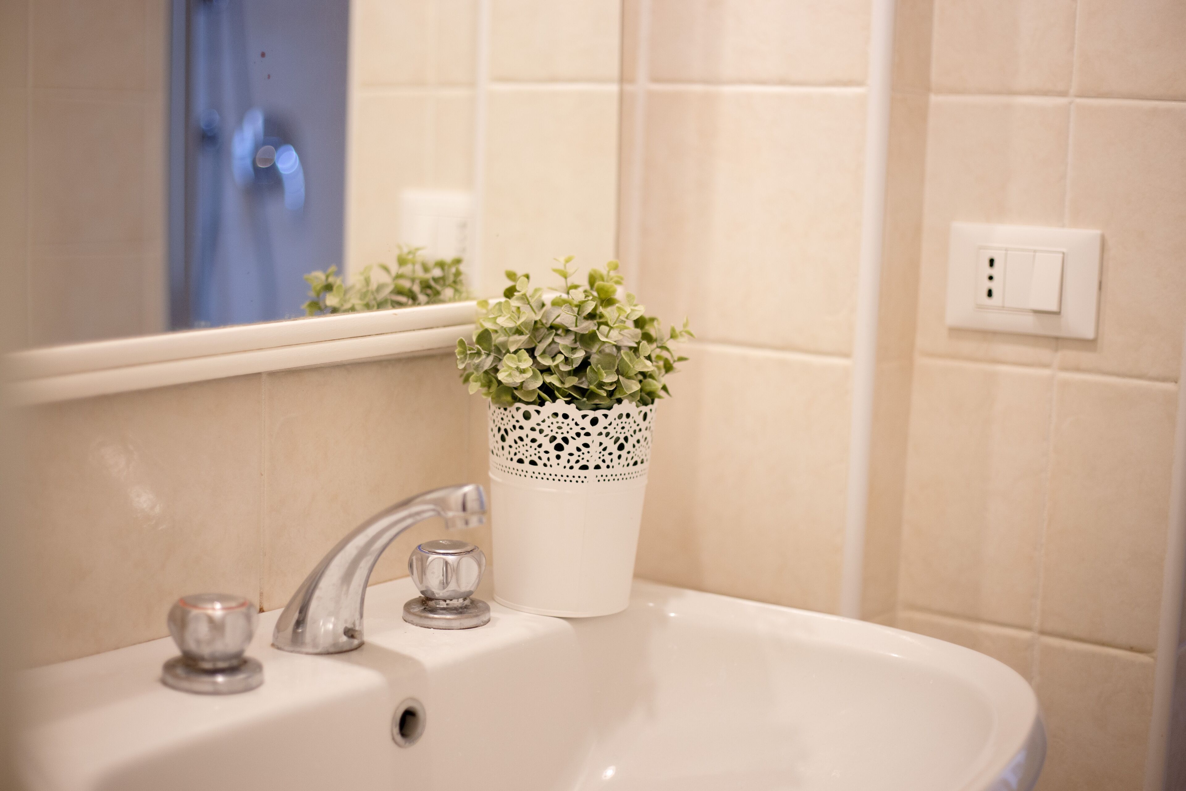 A bathroom sink with a white ceramic basin, a silver faucet, and a small glass container. A white ceramic pot with a green plant is placed on the sink.